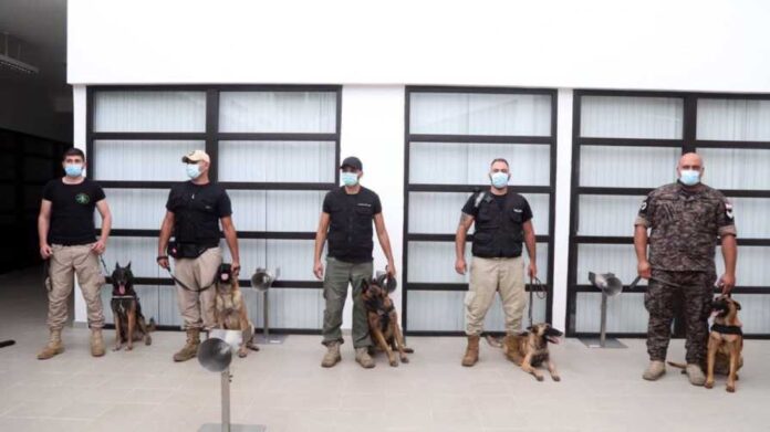 Sniffing dogs