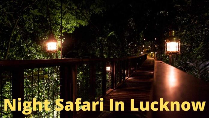 Night Safari in Lucknow