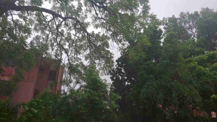 Heavy Rain in Delhi and UP