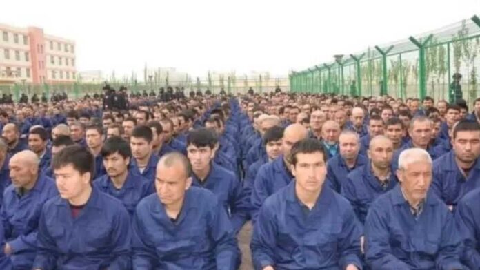 china tortures muslims